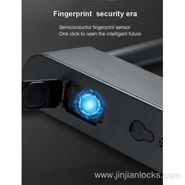 IP67 waterproof fingerprint D lock